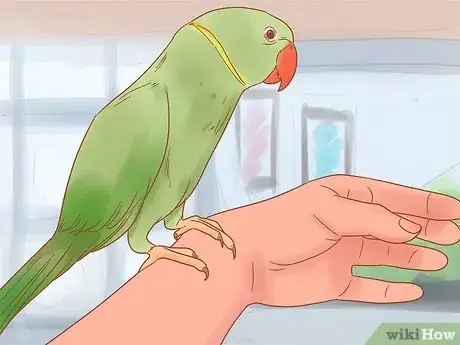 Image titled Care for a Parrot Step 16