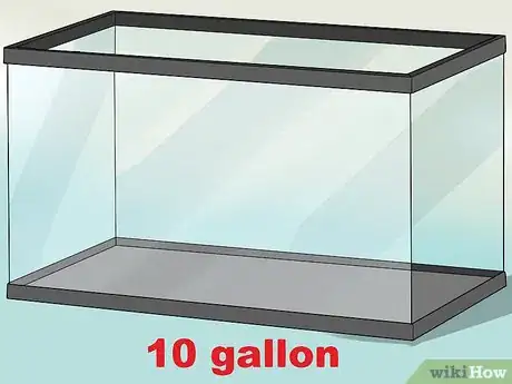 Image titled Know Which Fish to Put Together in a Tank Step 1
