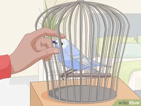 Image titled Train Your Bird Step 1