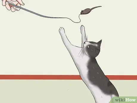Image titled Stop a Cat from Clawing Furniture Step 9