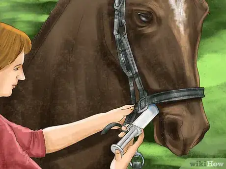 Image titled Diagnose Parasites in Horses Step 9