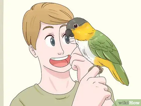 Image titled Choose a Caique Parrot Step 16