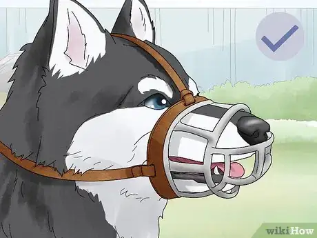 Image titled Use a Muzzle to Correct Nipping in Dogs Step 3