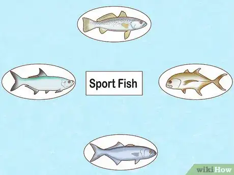 Image titled Create a Setup for Inshore Fishing Step 23