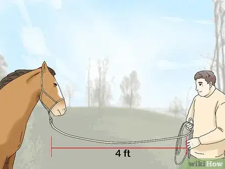 Image titled Teach Your Horse to Back up from the Ground Step 2