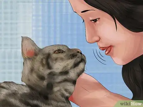 Image titled Assess a Cat's Personality Step 3
