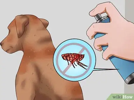 Image titled Kill Fleas on Dogs Step 2