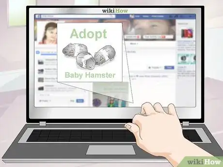 Image titled Deal with Baby Hamsters Step 9