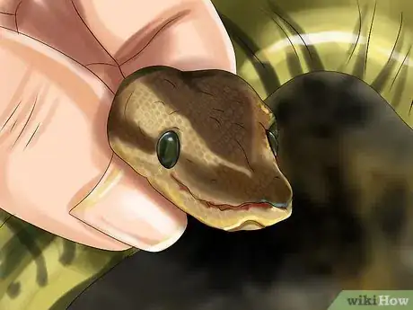 Image titled Get a Pet Snake Step 5