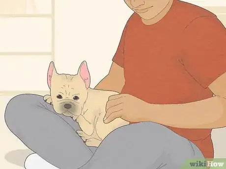 Image titled Train a Dog to Not Be Clingy Step 2