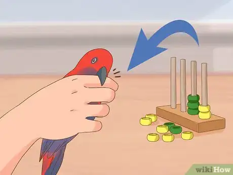 Image titled Play with a Large Parrot Step 12