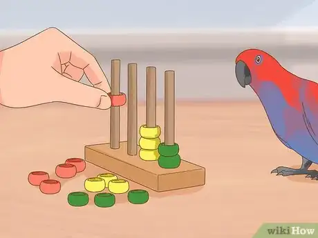 Image titled Play with a Large Parrot Step 14