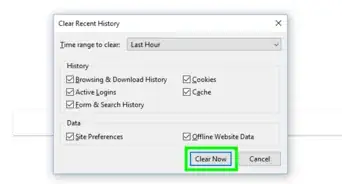 Delete Browsing History in Firefox