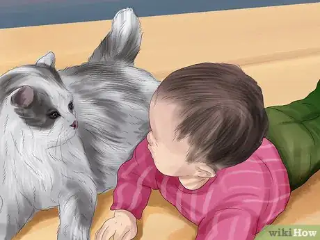 Image titled Care for Ragdoll Cats Step 12