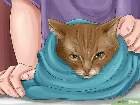 Image titled Immobilize an Injured or Frightened Cat Step 11