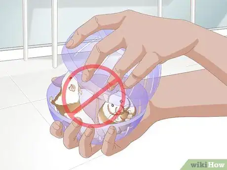 Image titled Use a Hamster Ball Step 6