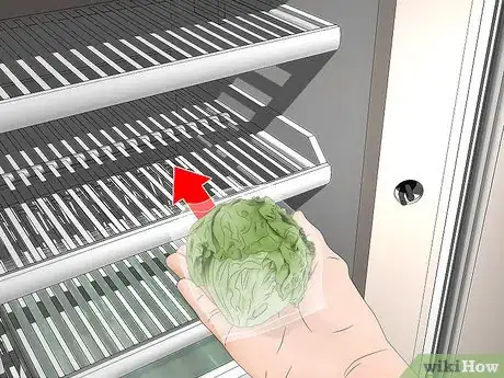 Image titled Tell if Lettuce Has Gone Bad Step 7