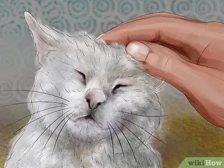 Image titled Assess a Cat's Personality Step 9