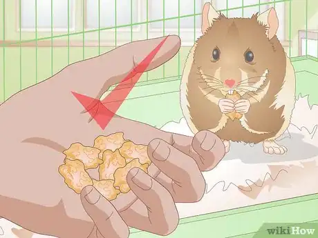 Image titled Make Hamster Chew Sticks Step 16