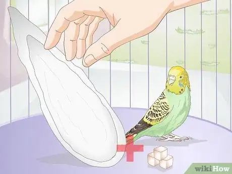 Image titled Feed Budgies Step 8