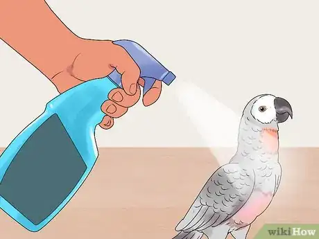 Image titled Care for a Molting Parrot Step 1