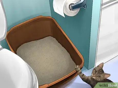 Image titled Prevent Your Cat from Unrolling Toilet Paper Step 2