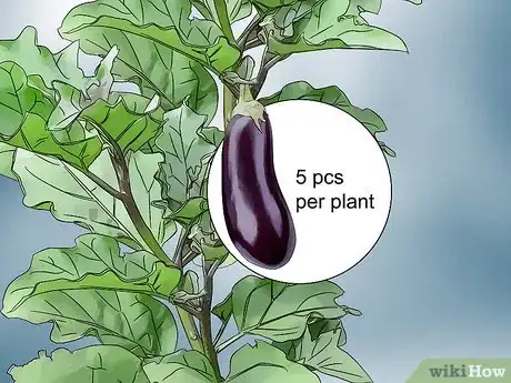 Image titled Prune Eggplant Step 10