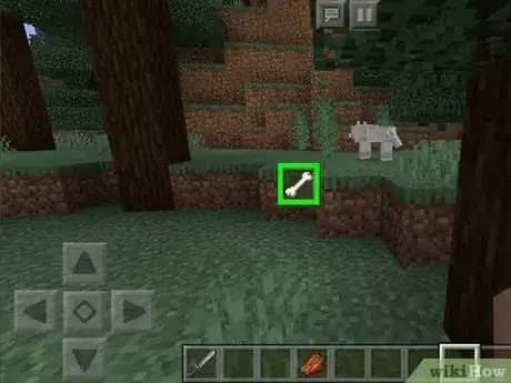 Image titled Get a Dog in Minecraft Step 4