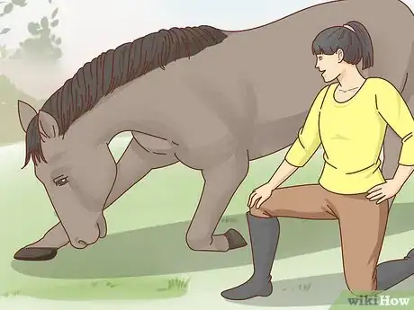 Image titled Teach a Horse to Bow Step 16