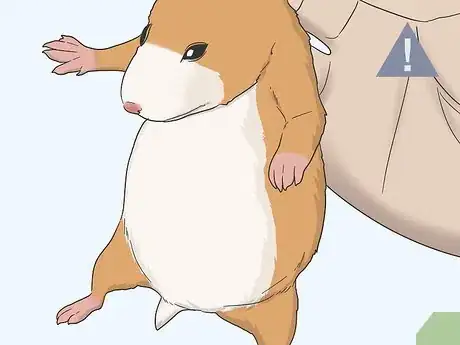 Image titled Hold a Hamster Step 13