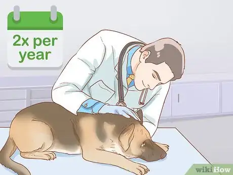 Image titled Help Your Dog Through a Stroke Step 9