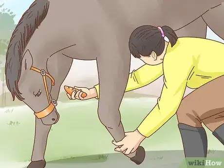 Image titled Teach a Horse to Bow Step 12