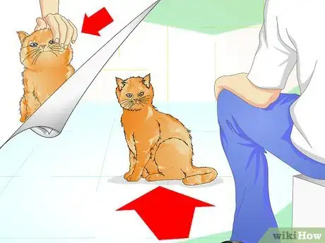 Image titled Check Your Cat's Teeth Step 1