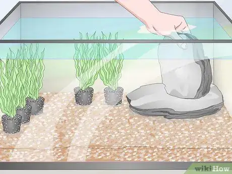 Image titled Prepare Fish Tank Gravel Step 12