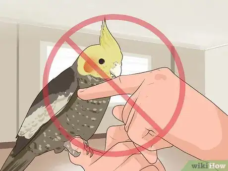 Image titled Get Your Cockatiel to Stop Laying Eggs Step 4