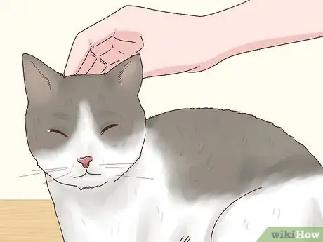 Image titled Make Your Cat Happy Step 4
