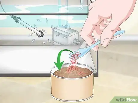 Image titled Care for Baby Guppies Step 12