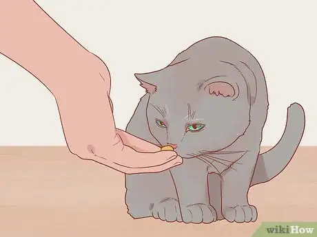 Image titled Greet a Cat Step 14