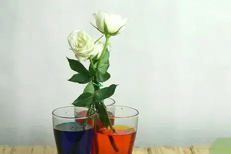Image titled Make a Rainbow Rose Step 6