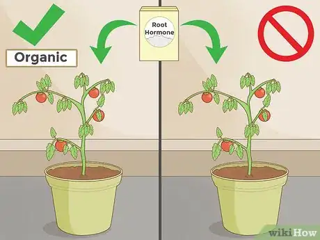 Image titled Clone Plants Step 3