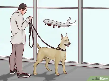 Image titled Fly Domestically With Your Dog Step 8