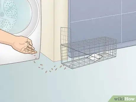 Image titled Tell How Many Rats Are in Your House Step 9