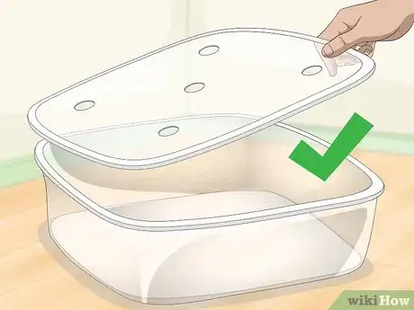 Image titled Get Rid of Mites on Snakes Step 1