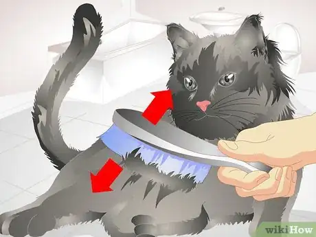 Image titled Remove Urine Smells from a Pet Step 6
