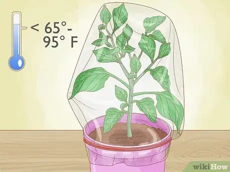 Image titled Grow Bell Peppers Step 18