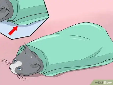 Image titled Give Your Cat Nose Drops Step 19
