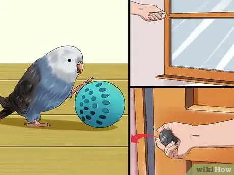 Image titled Gain Your Parakeet's Trust Step 8