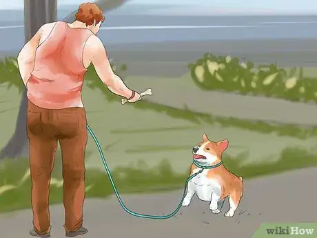 Image titled Teach Your Dog to Walk on a Leash Step 7