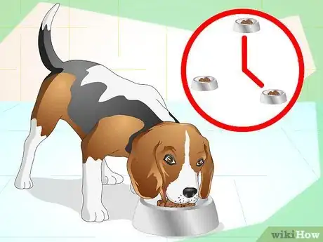 Image titled Litter Train a Dog Step 12