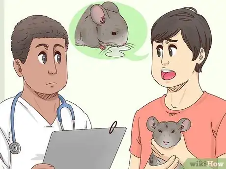 Image titled Help a Choking Chinchilla Step 7